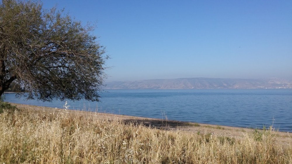 להתרגש ולצלם